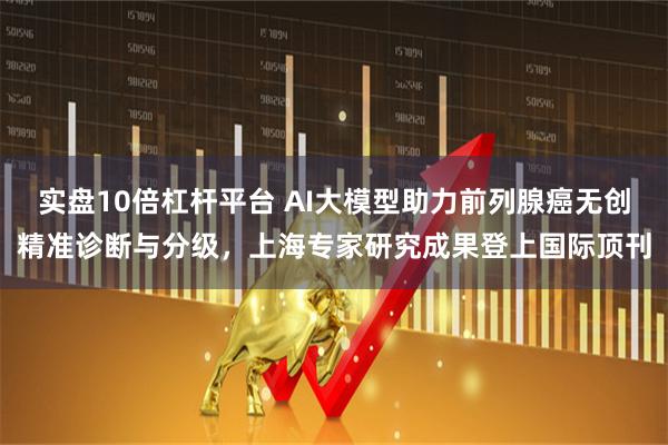 实盘10倍杠杆平台 AI大模型助力前列腺癌无创精准诊断与分级，上海专家研究成果登上国际顶刊