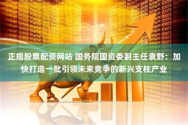 正规股票配资网站 国务院国资委副主任袁野：加快打造一批引领未来竞争的新兴支柱产业