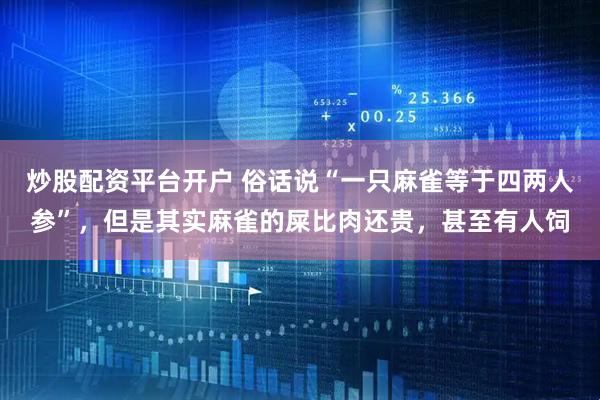 炒股配资平台开户 俗话说“一只麻雀等于四两人参”，但是其实麻雀的屎比肉还贵，甚至有人饲